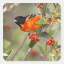 Search for migration stickers Usa