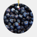 Search for blueberry christmas tree decorations Fruit