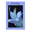 Search for hosta Photography