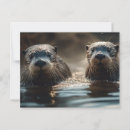 Search for penpalling postcards Snail mail