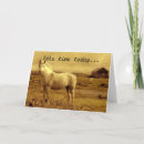 Search for horsing around Animal