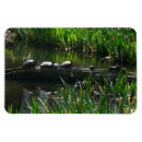 Search for row magnets Nature