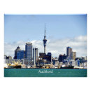 Search for auckland city posters Skyline