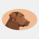 Search for lab puppy stickers Chocolate