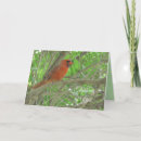 Search for blank sympathy cards Nature