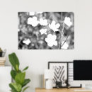 Search for black and white flowers posters Nature