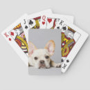 Search for frenchy playing cards Pets