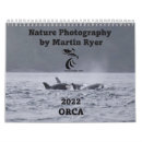Search for orca photography Wildlife