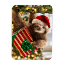 Search for sloth magnets Avanti press