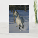 Search for dapple cards Bob langrish