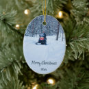 Search for mobile home christmas tree decorations Snow