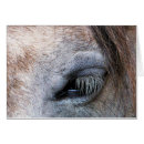 Search for spirit horse cards Cute