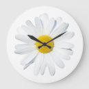 Search for daisy flower clocks Blossom