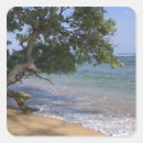 Search for pacific islander stickers Hawaii