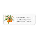 Search for cutie return address labels Modern