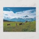 Search for farm anniversary cards Landscape