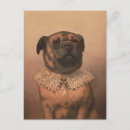 Search for pups postcards Puppy