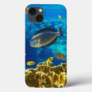 Search for reef samsung cases Fish