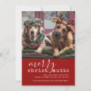 Search for paw print christmas cards Pets