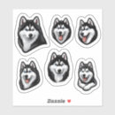 Search for siberian husky stickers Huskies