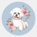 Search for frise stickers Cute