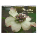 Search for azalea office supplies Photography