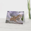 Search for mayan cards Jaguar