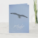 Search for gulls cards Flying