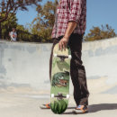 Search for alligator skateboards Swamp