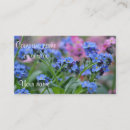 Search for forget me not business cards Blue