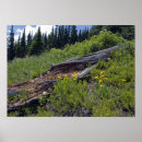 Search for fallen posters Nature