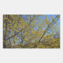 Search for dogwood stickers Nature