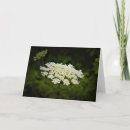 Search for annes cards Nature