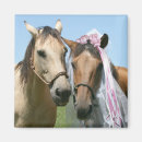 Search for brides magnets Bridal