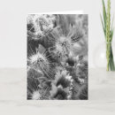 Search for prickly cards Desert