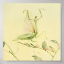 Search for vintage bee art Insects