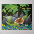 Search for figs posters Fruit