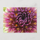 Search for opportunity cards Flower