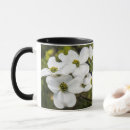 Search for dogwood tree mugs Susaneileenevans