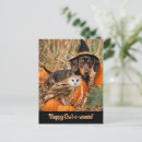 Search for dachshund halloween cards Pumpkins