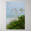 Search for anna posters Island