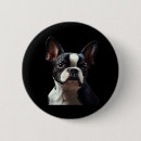 Search for boston terrier badges Animal