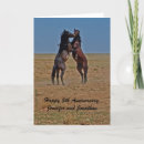 Search for horses anniversary cards Equine