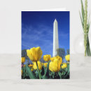 Search for monuments cards Reflection