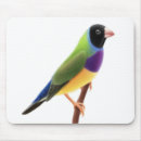 Search for faced mousepads Bird