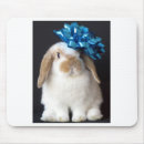 Search for lop mousepads Bunny