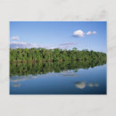 Search for amazon forest Rainforest