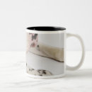 Search for great dane puppy mugs Nature