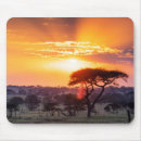 Search for conservations mousepads Safari