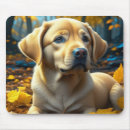 Search for yellow lab puppy electronics Cute